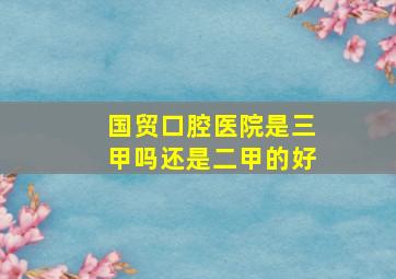 国贸口腔医院是三甲吗还是二甲的好