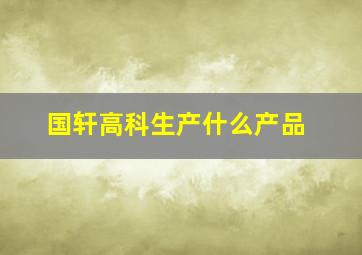 国轩高科生产什么产品