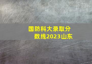 国防科大录取分数线2023山东