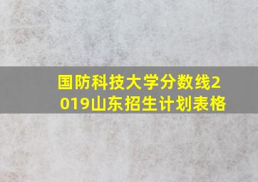 国防科技大学分数线2019山东招生计划表格