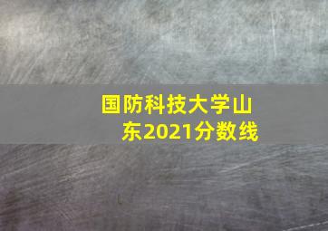 国防科技大学山东2021分数线