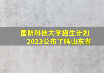 国防科技大学招生计划2023公布了吗山东省