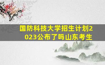 国防科技大学招生计划2023公布了吗山东考生