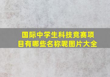 国际中学生科技竞赛项目有哪些名称呢图片大全