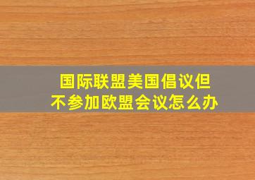 国际联盟美国倡议但不参加欧盟会议怎么办