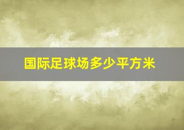 国际足球场多少平方米