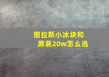 图拉斯小冰块和原装20w怎么选