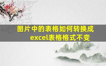 图片中的表格如何转换成excel表格格式不变