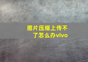 图片压缩上传不了怎么办vivo