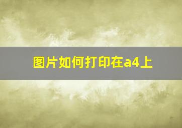 图片如何打印在a4上