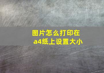 图片怎么打印在a4纸上设置大小