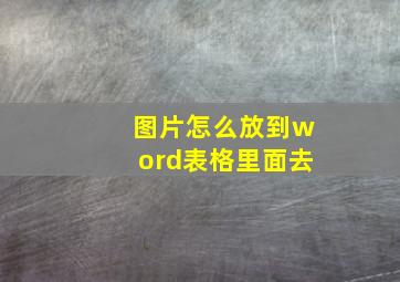 图片怎么放到word表格里面去