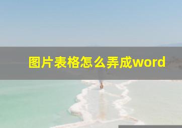 图片表格怎么弄成word