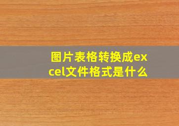 图片表格转换成excel文件格式是什么