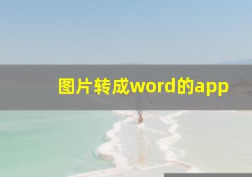 图片转成word的app