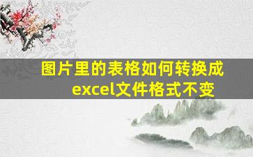 图片里的表格如何转换成excel文件格式不变