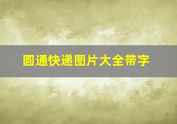 圆通快递图片大全带字