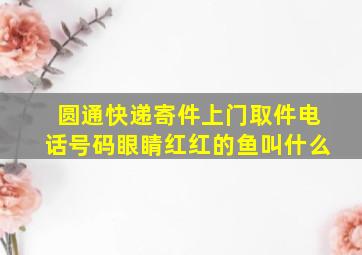 圆通快递寄件上门取件电话号码眼睛红红的鱼叫什么