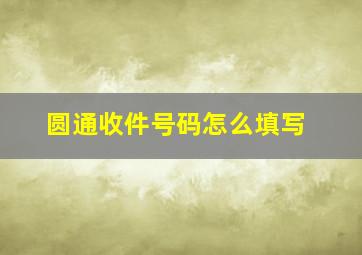 圆通收件号码怎么填写