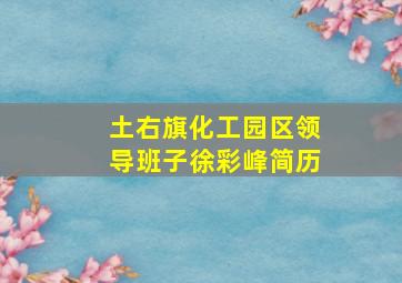 土右旗化工园区领导班子徐彩峰简历