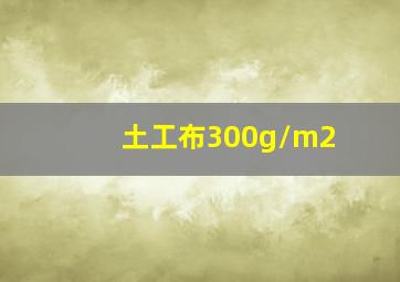 土工布300g/m2