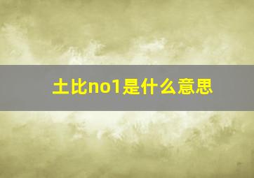 土比no1是什么意思