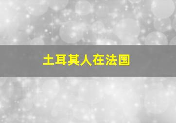 土耳其人在法国