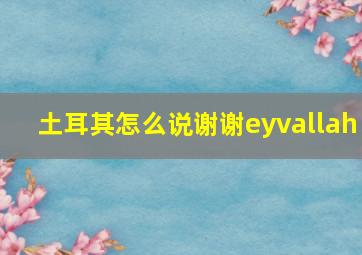 土耳其怎么说谢谢eyvallah