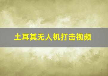 土耳其无人机打击视频