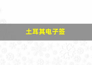 土耳其电子签