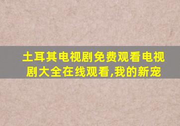 土耳其电视剧免费观看电视剧大全在线观看,我的新宠