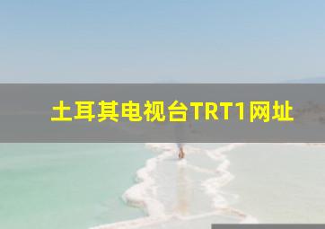 土耳其电视台TRT1网址