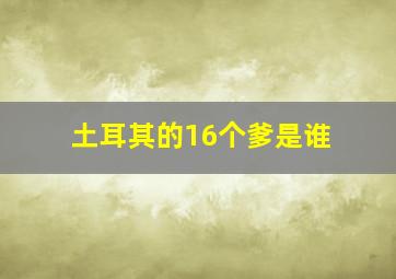 土耳其的16个爹是谁