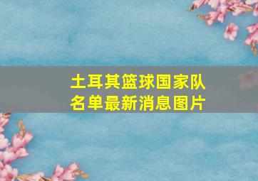 土耳其篮球国家队名单最新消息图片