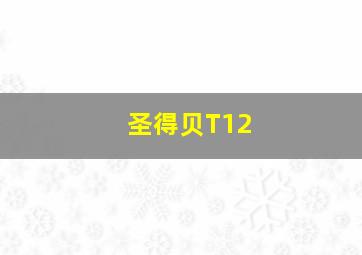 圣得贝T12