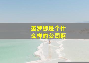 圣罗娜是个什么样的公司啊