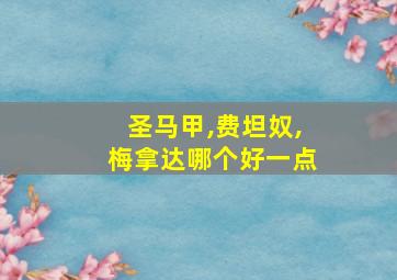 圣马甲,费坦奴,梅拿达哪个好一点