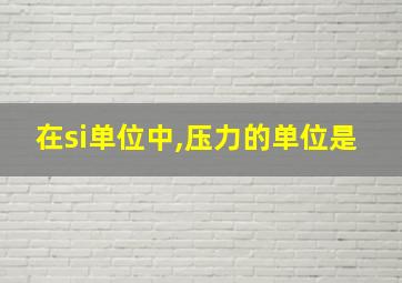 在si单位中,压力的单位是