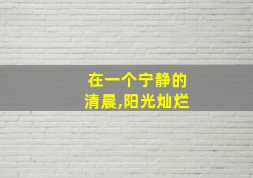 在一个宁静的清晨,阳光灿烂