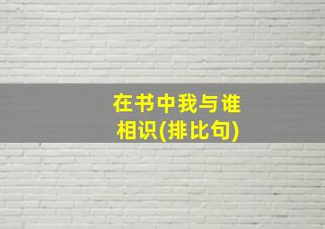 在书中我与谁相识(排比句)