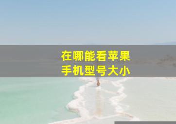 在哪能看苹果手机型号大小