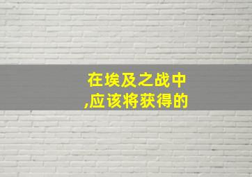 在埃及之战中,应该将获得的