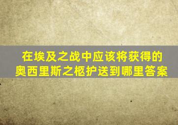 在埃及之战中应该将获得的奥西里斯之柩护送到哪里答案