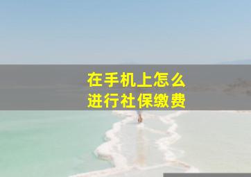 在手机上怎么进行社保缴费