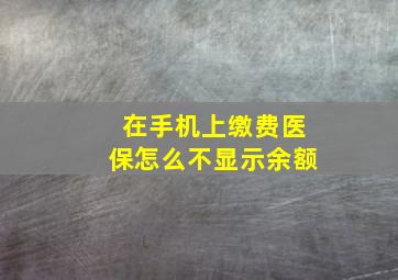 在手机上缴费医保怎么不显示余额