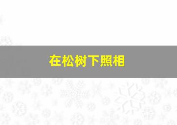 在松树下照相