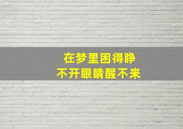 在梦里困得睁不开眼睛醒不来