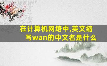 在计算机网络中,英文缩写wan的中文名是什么