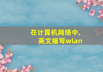 在计算机网络中,英文缩写wlan