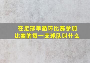 在足球单循环比赛参加比赛的每一支球队叫什么